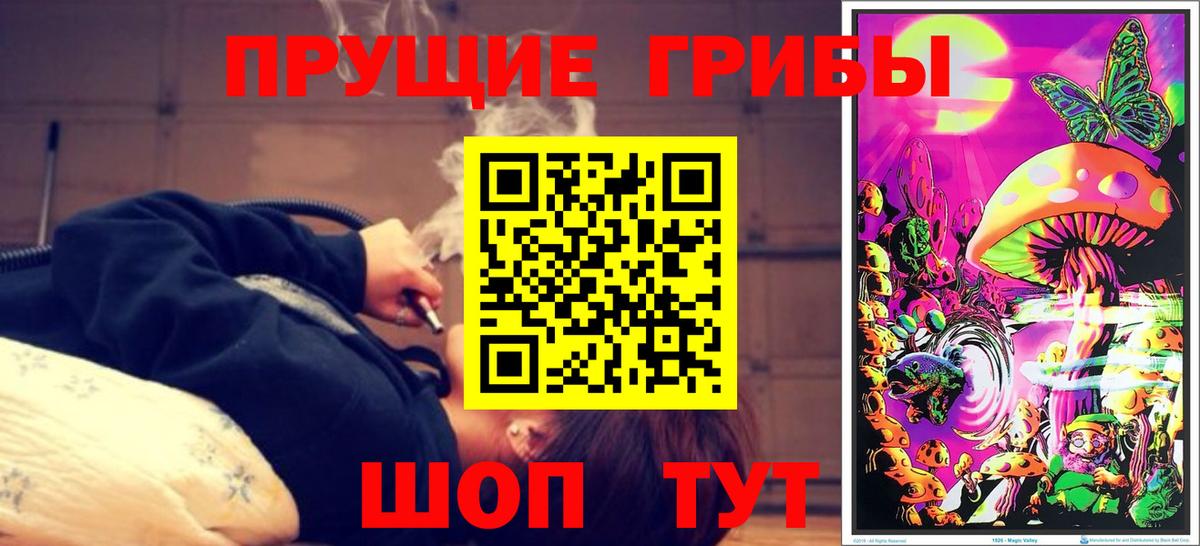Псилоцибиновые грибы Psilocybine cubensis Прохладный