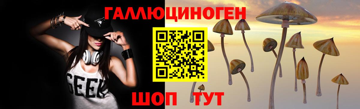 Прохладный  Псилоцибиновые грибы прущие грибы  Вход с VPN 